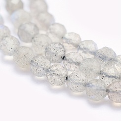 Natural Labradorite Beads Strands&nbsp;G-O166-22-3mm