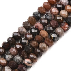 Natural Petrified Wood Beads Strands&nbsp;G-C259-A28-5x8mm
