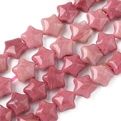 Natural Rhodonite Star Beads Strands&nbsp;G-Z080-A07