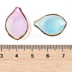 Gradient Color  Transparent Acrylic Pendants&nbsp;TACR-F009-09