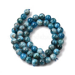 Natural Apatite Beads Strands&nbsp;G-G858-01B-01