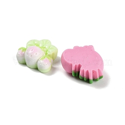 Opaque Resin Decoden Cabochons&nbsp;RESI-I338-06