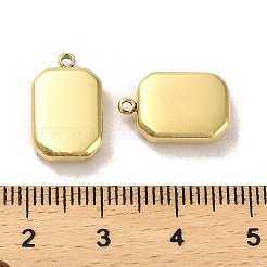 304 Stainless Steel Pendants&nbsp;X-STAS-L022-021G