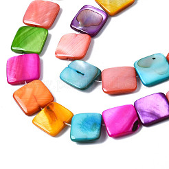 Natural Freshwater Shell Beads Strands&nbsp;SHEL-S278-020