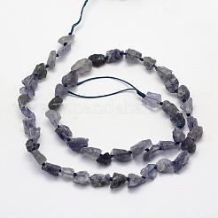 Rough Raw Natural Kyanite/Cyanite/Disthene Beads Strands&nbsp;G-K202-15