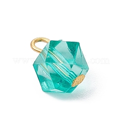 Transparent Acrylic with Iron Pendants&nbsp;PALLOY-JF03680-01