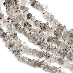 Natural Black Strawberry Quartz Chip Beads Strands&nbsp;G-B160-A03