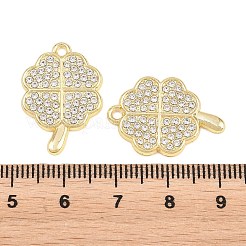 Alloy Pendants&nbsp;FIND-C095-10G