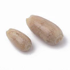 Spiral Shell Beads&nbsp;LS-SSHEL-S258-08