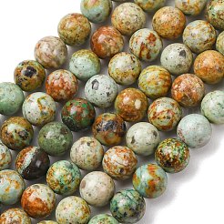 Natural Peruvian Turquoise(Jasper) Beads Strands&nbsp;G-T150-A01-8mm