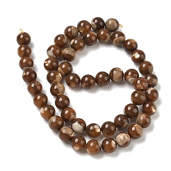 Natural Trochus Shell Beads Strands&nbsp;SH-CBAFEDD-02B