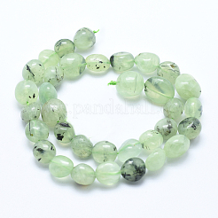 Natural Prehnite Beads Strands&nbsp;G-E483-71