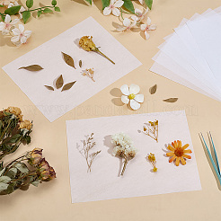 Absorbent Paper&nbsp;DIY-WH0591-253A