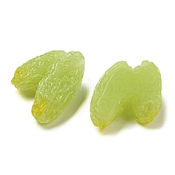 Fruit Opaque Resin Decoden Cabochons&nbsp;RESI-H156-01-07