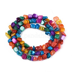 Natural Freshwater Shell Beads Strands&nbsp;SHEL-N038-06B