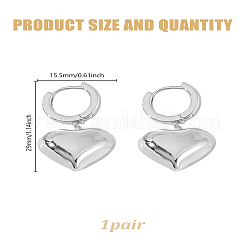 1 Pair Brass Hoop Earrings&nbsp;EJEW-LP0007-123P