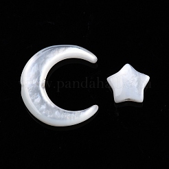 Natural White Shell Beads Sets&nbsp;SSHEL-N032-52B-01