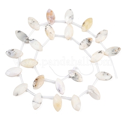 Natural White African Opal Beads Strands&nbsp;G-P607-A02-01