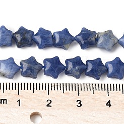 Natural Sodalite Star Beads Strands&nbsp;G-Z080-A09