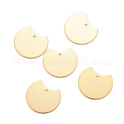201 Stainless Steel Pendants&nbsp;LS-STAS-K217-99G
