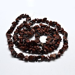 Chip Natural Mahogany Obsidian Beads Strands&nbsp;G-N0134-25