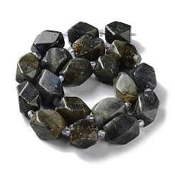 Natural Larvikite Beads Strands&nbsp;G-C182-17-02