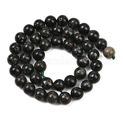 Natural Seraphinite Beads Strands&nbsp;G-H337-A03-04