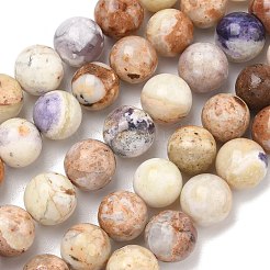 Natural Purple Opal Beads Strands&nbsp;G-L642-B21-12mm