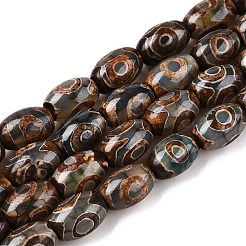 Natural Tibetan Agate 3-Eye Beads Strands&nbsp;G-T138-195A
