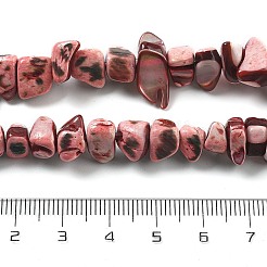 Dyed Natural Trochus Shell Beads Strands&nbsp;BSHE-Z006-01D