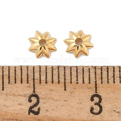 Brass Bead Caps&nbsp;KK-H503-05G