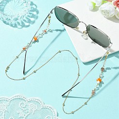 4Pcs 4 Style Natural Mixed Gemstone Chips & Lampwork Mushroom Beaded Eyeglasses Chains Set&nbsp;AJEW-TA00020