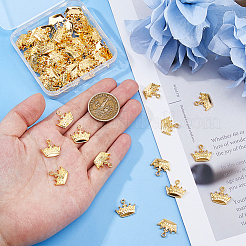 80Pcs Alloy Pendants&nbsp;FIND-DC0007-58
