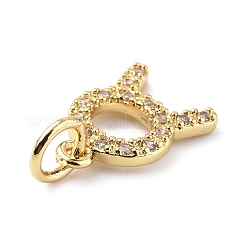 Brass Micro Pave Cubic Zirconia Charms&nbsp;ZIRC-F131-16G-08
