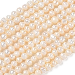 Natural Cultured Freshwater Pearl Beads Strands&nbsp;PA-CBAC463-13