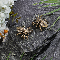 2Pcs Brass Spider Display Decorations&nbsp;DJEW-SP0001-46