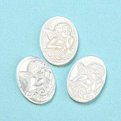 Natural Sea Shell Cabochons&nbsp;SHEL-D079-22