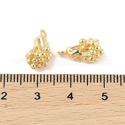Brass Charms&nbsp;KK-Q816-24G