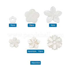 Natural Freshwater Shell Pendants&nbsp;SSHEL-KS0001-01