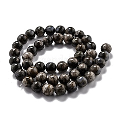 Natural Glaucophane Beads Strands&nbsp;G-L574-01C
