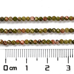 Natural Unakite Beads Strands&nbsp;G-Q002-B01-01
