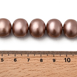 Shell Pearl Beads Strands&nbsp;BSHE-F013-01L
