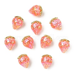 Resin Beads&nbsp;RESI-CJC0027-12