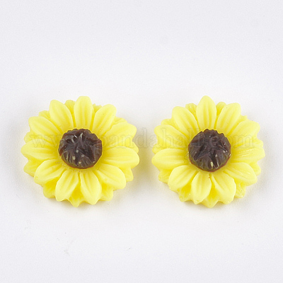 Resin Cabochons&nbsp;CRES-T010-60J-1
