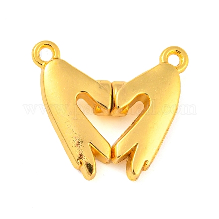 Alloy Magnetic Pendants PALLOY-Z020-01G-1