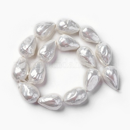 Shell Pearl Beads Strands&nbsp;BSHE-F013-13-1