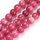 Shell Beads Strands&nbsp;BSHE-L041-07B-01-1