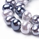 Shell Pearl Beads Strands&nbsp;BSHE-L035-E04-1