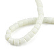 Opaque Solid Glass Bead Strands&nbsp;GLAA-N047-09-F01-4