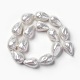 Shell Pearl Beads Strands&nbsp;BSHE-F013-13-1